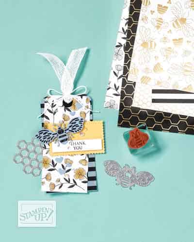 "Sale-A-Bration 2020, Stampin' Up!, Candi Suriano"