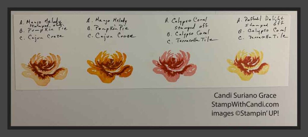 'All Things Fabulous Color Combiniations, Stampin Up!, Candi Suriano"