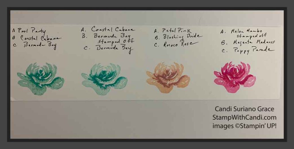 'All Things Fabulous Color Combiniations, Stampin Up!, Candi Suriano"