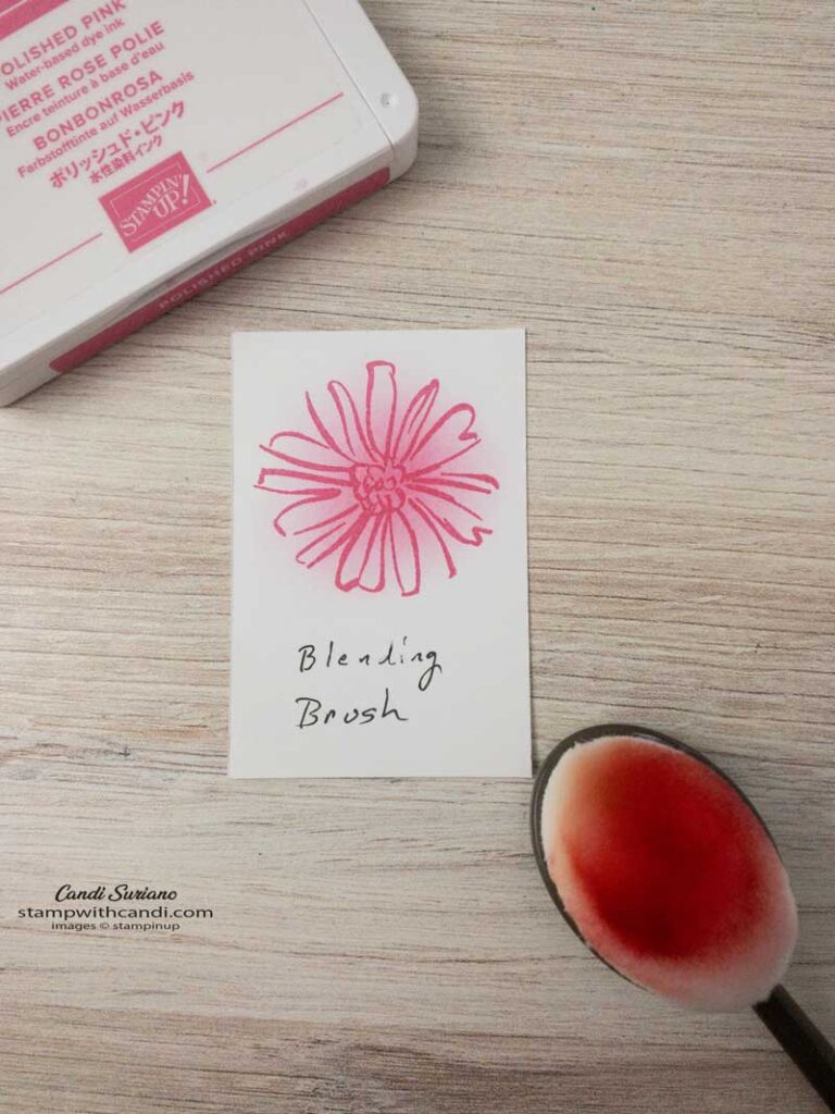 "Color with Blending Brush, Candi Suriano, Stampin' UP!"