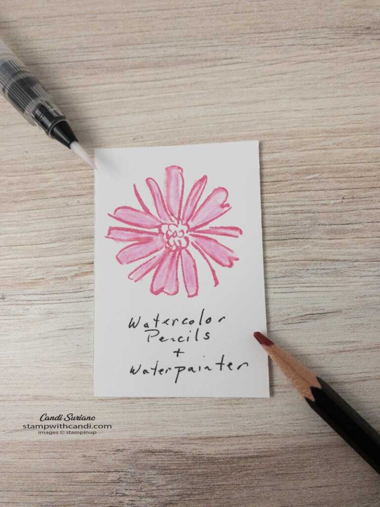 "Watercolor Pencil plus WaterPainter, Candi Suriano, Stampin' Up!"