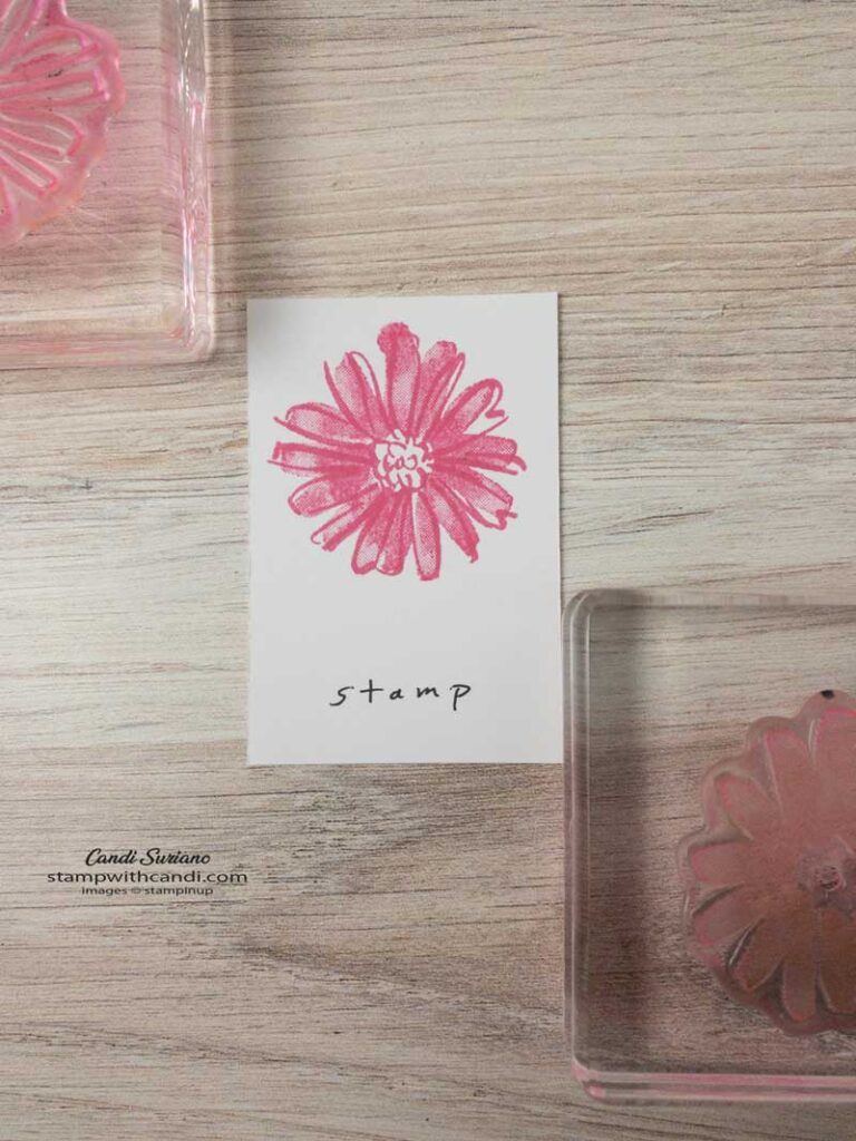 "Stamping the Color, Candi Suriano, Stampin' Up!"
