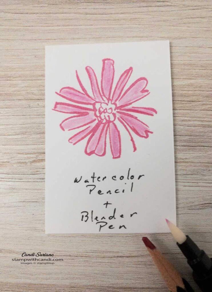 "ColorWithBlenderPen, Candi Suriano, Stampin' Up!"