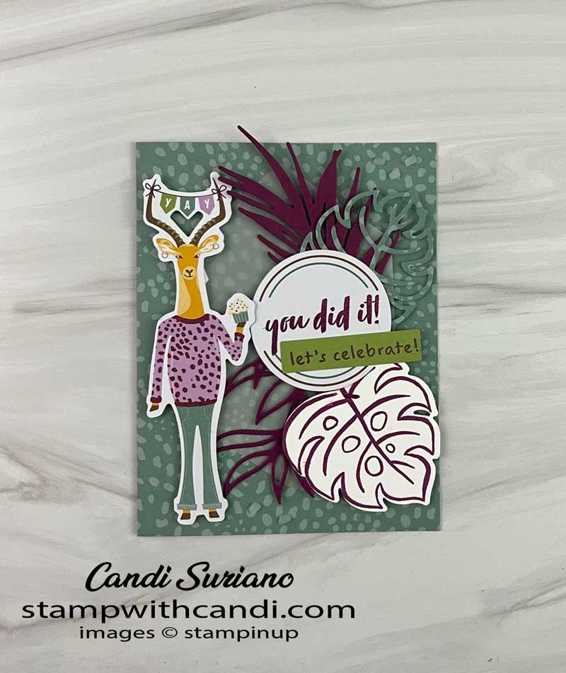 "February Paper Pumpkin 2022 Alternate #3, Candi Suriano, Stampin' Up!"