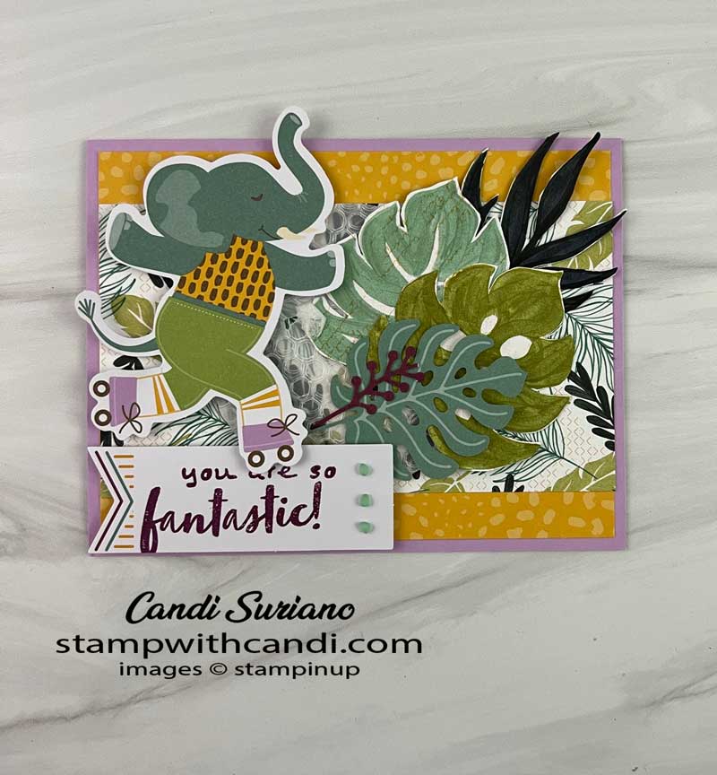 "February Paper Pumpkin 2022 Alternate #6, Candi Suriano, Stampin' Up!"