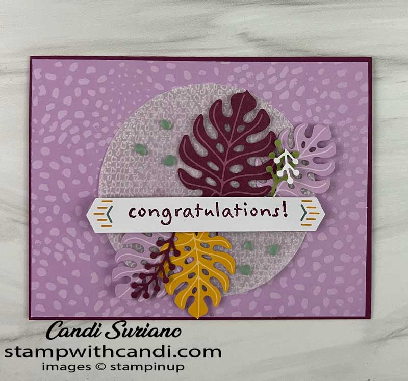 "February Paper Pumpkin 2022 Alternate #7, Candi Suriano, Stampin' Up!"