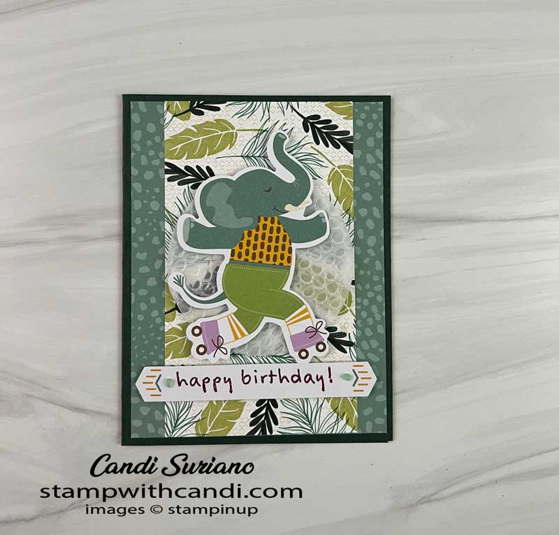 "February Paper Pumpkin 2022 Alternate #4, Candi Suriano, Stampin' Up!"