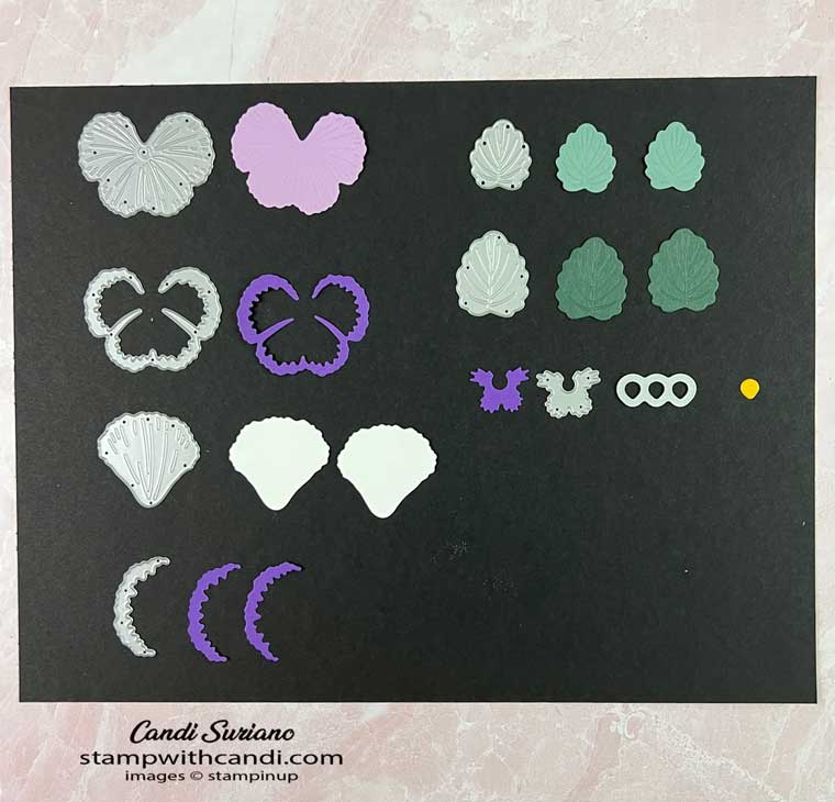 "Pansy Dies Template, Candi Suriano, Stampin' Up!"