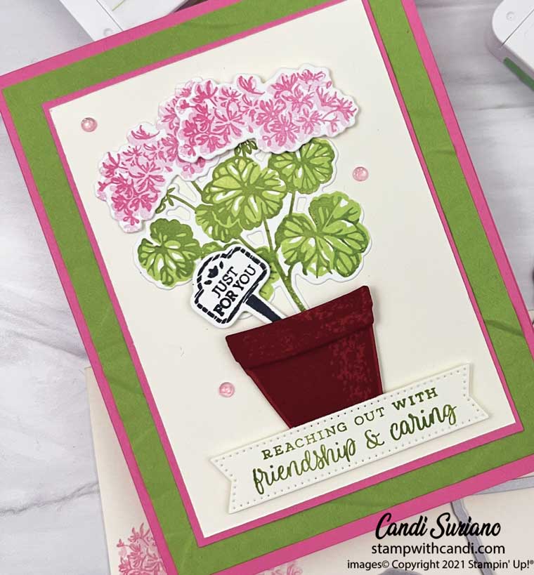 "Potted Geraniums, Candi Suriano, Stampin' Up!"
