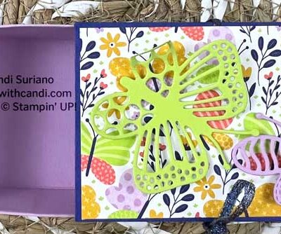 "Butterfly Kisses Inner Box Closed with Inner Box `, Candi Suriano, Stampin' Up!"