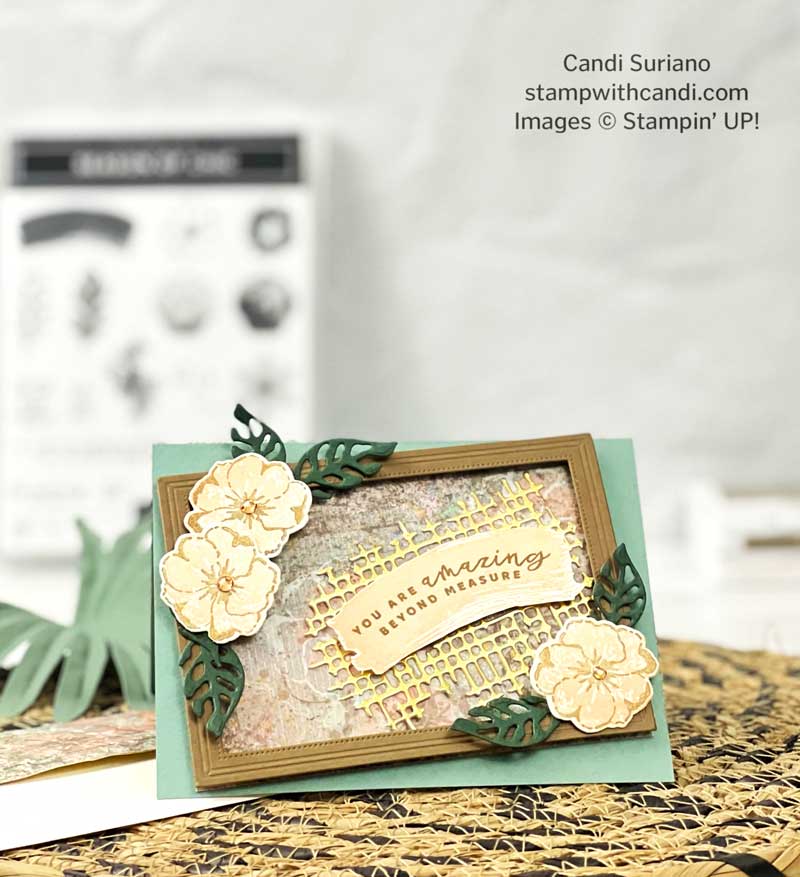 "Fabulous Frames with Season of Chic, Candi Suriano, Stampin' Up!"
