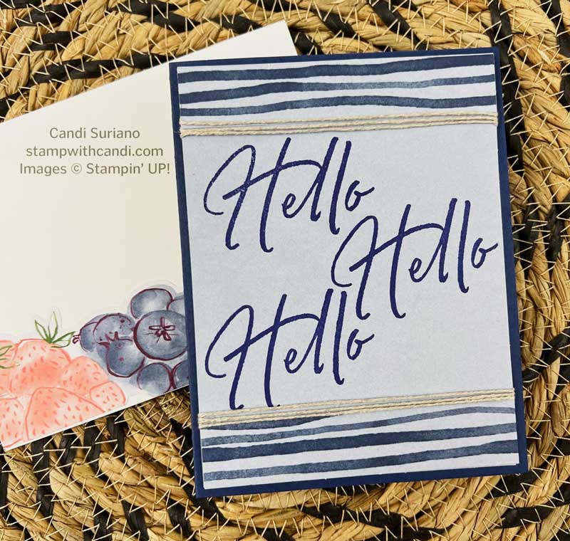 "June Paper Pumpkin Alternative #9, Candi Suriano, Stampin' Up!"