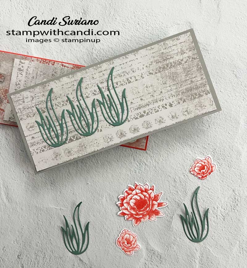 "Desert Details Envelope, Candi Suriano, Stampin' Up!"