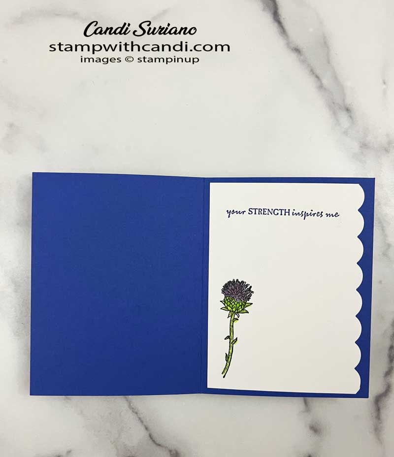 "Beautiful Thistle Inside, Candi Suriano, Stampin' Up!"