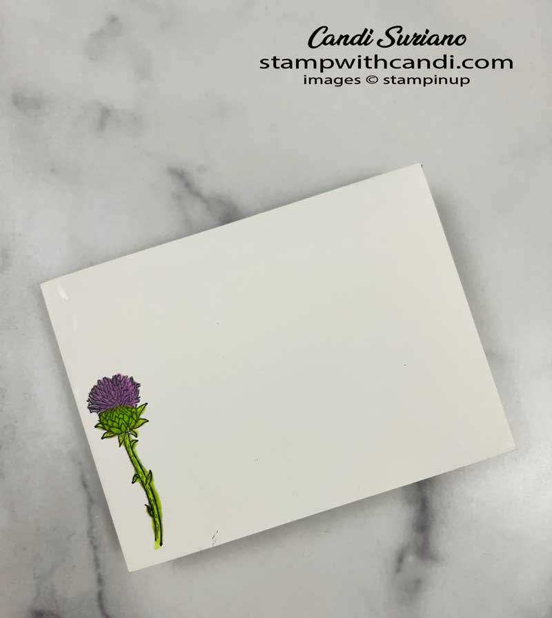 "Beautiful Thistle Envelope Front, Candi Suriano, Stampin' Up!"