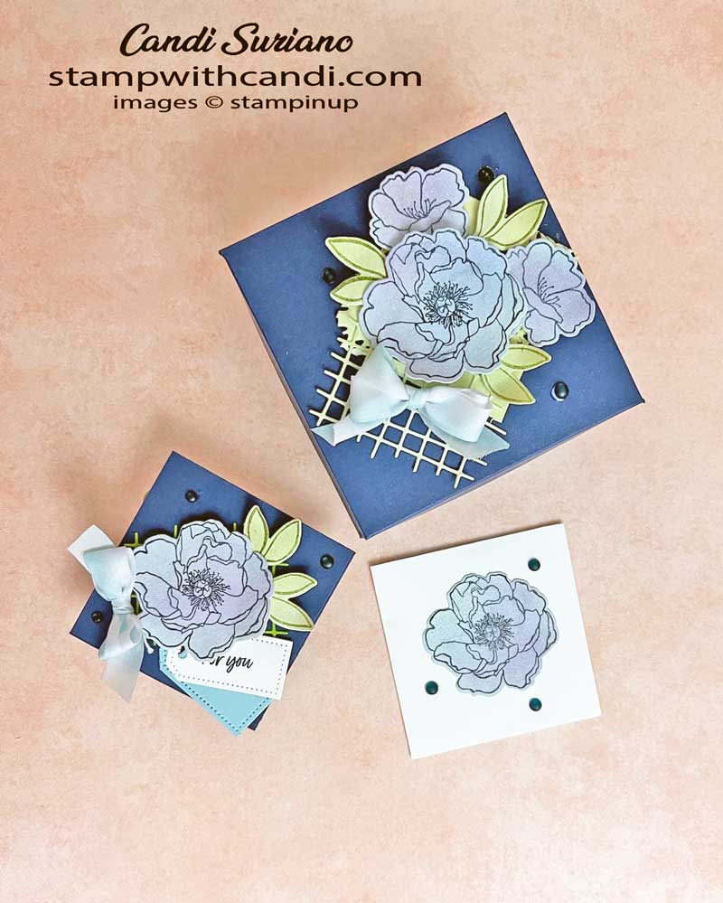 "Watercolor Technique Blue Box, Candi Suriano, Stampin' Up!"