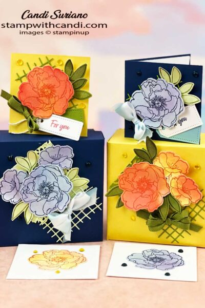 "Watercolor Technique Both Boxes , Candi Suriano, Stampin' Up!"