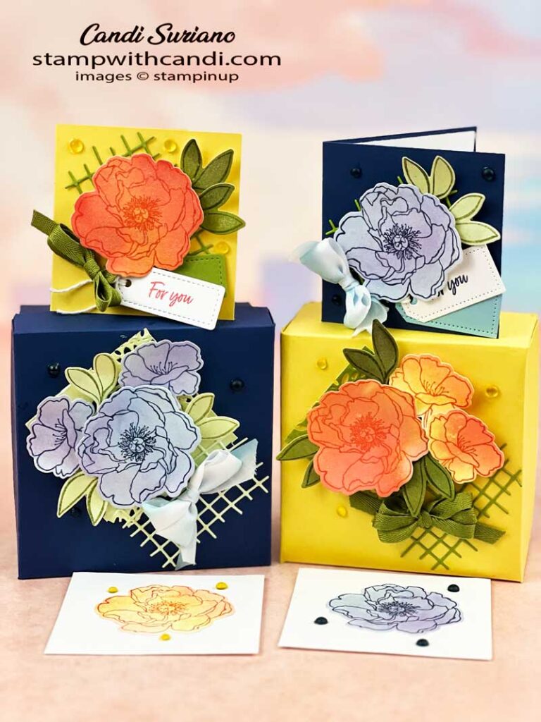 "Watercolor Technique Both Boxes , Candi Suriano, Stampin' Up!"